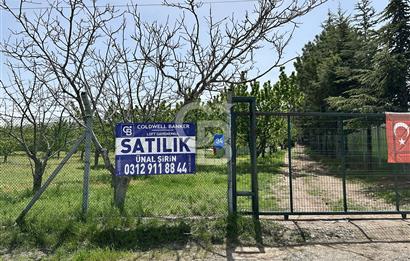 Cücük de Satılık Bahçe 8700m2