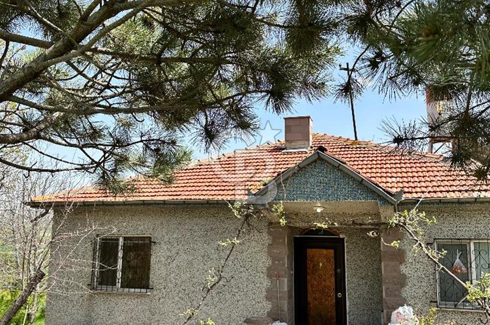 Cücük de Satılık Bahçe 8700m2