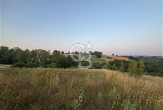 ÇANAKKALE BİGA HARMANLI KÖYÜ SATILIK TARLA