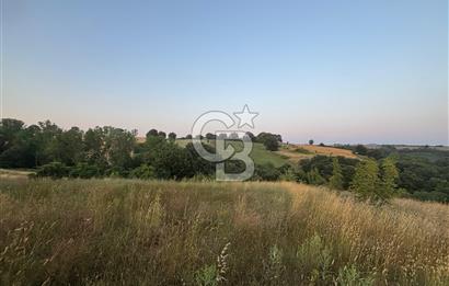 ÇANAKKALE BİGA HARMANLI KÖYÜ SATILIK TARLA