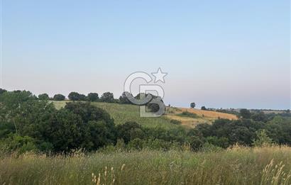 ÇANAKKALE BİGA HARMANLI KÖYÜ SATILIK TARLA