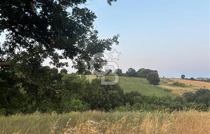 ÇANAKKALE BİGA HARMANLI KÖYÜ SATILIK TARLA