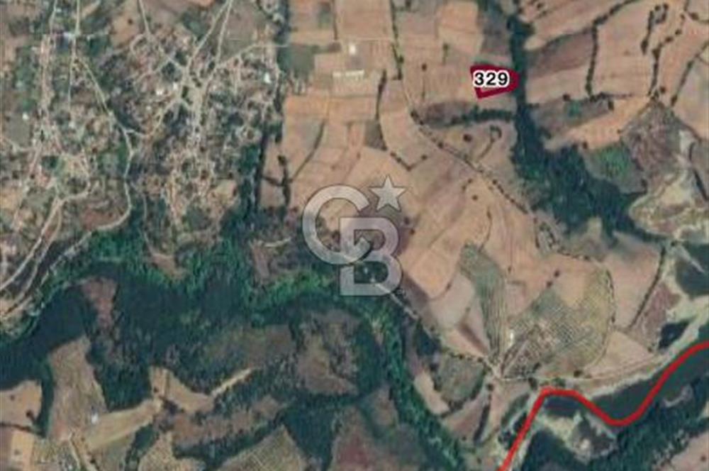 ÇANAKKALE BİGA HARMANLI KÖYÜ SATILIK TARLA