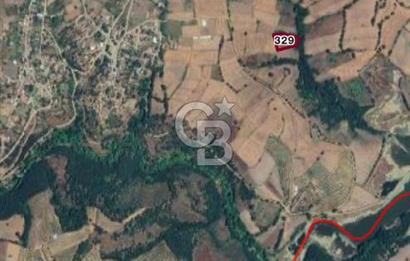 ÇANAKKALE BİGA HARMANLI KÖYÜ SATILIK TARLA