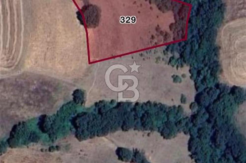 ÇANAKKALE BİGA HARMANLI KÖYÜ SATILIK TARLA