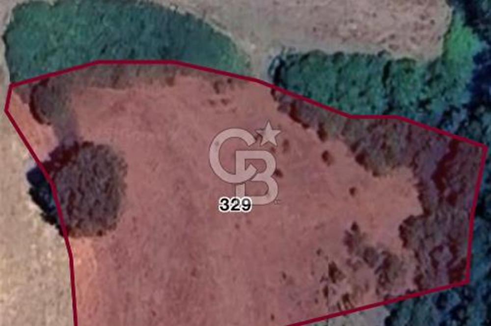 ÇANAKKALE BİGA HARMANLI KÖYÜ SATILIK TARLA