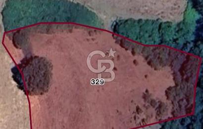ÇANAKKALE BİGA HARMANLI KÖYÜ SATILIK TARLA