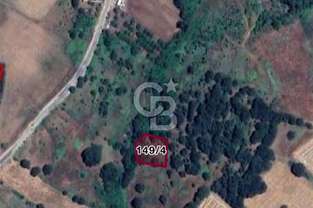 ÇANAKKALE ÇAN SAMEDELİ KÖYÜ SATILIK TARLA