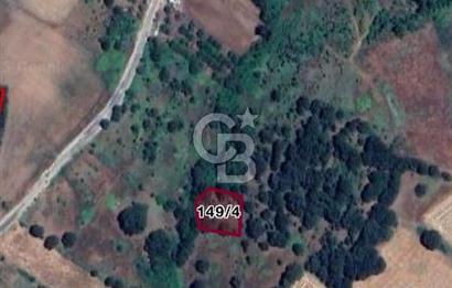 ÇANAKKALE ÇAN SAMEDELİ KÖYÜ SATILIK TARLA