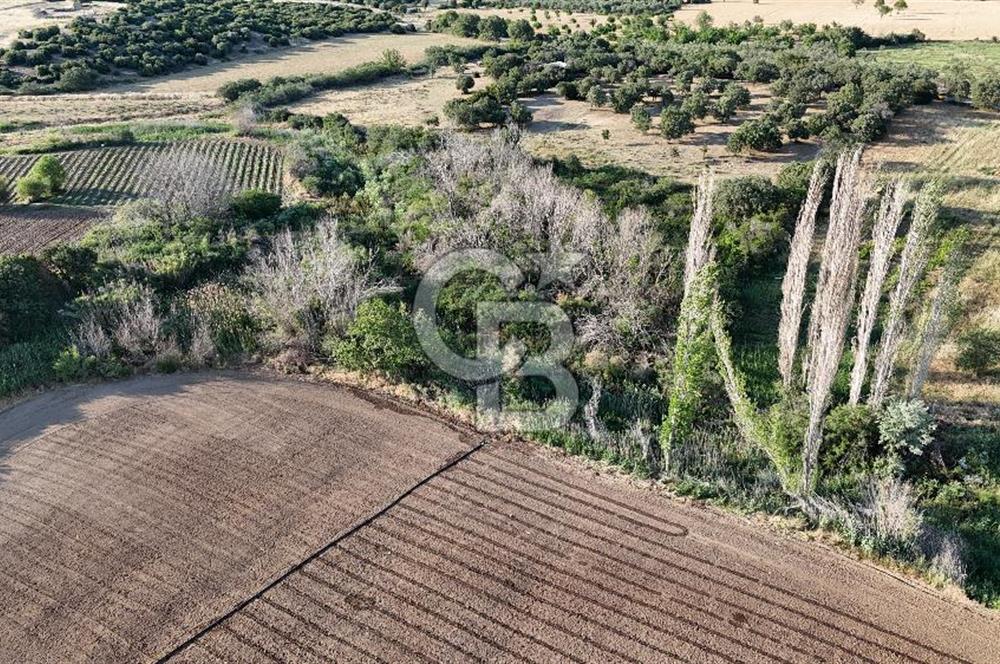 Ezine Kemallı Köyünde Doğayla İç İçe 2.549 M² Satılık Bağ!
