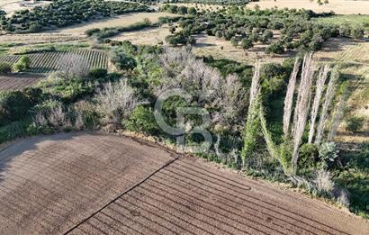 Ezine Kemallı Köyünde Doğayla İç İçe 2.549 M² Satılık Bağ!