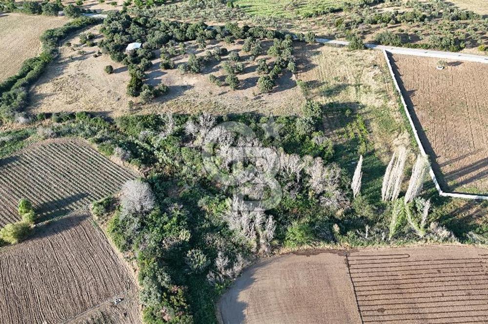 Ezine Kemallı Köyünde Doğayla İç İçe 2.549 M² Satılık Bağ!