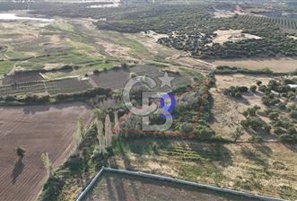 Ezine Kemallı Köyünde Doğayla İç İçe 2.549 M² Satılık Bağ!