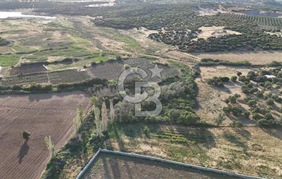 Ezine Kemallı Köyünde Doğayla İç İçe 2.549 M² Satılık Bağ!