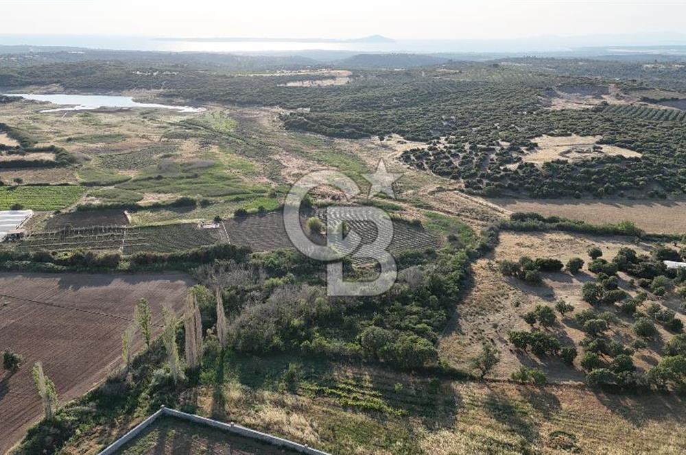 Ezine Kemallı Köyünde Doğayla İç İçe 2.549 M² Satılık Bağ!
