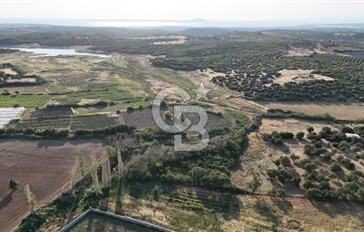 Ezine Kemallı Köyünde Doğayla İç İçe 2.549 M² Satılık Bağ!