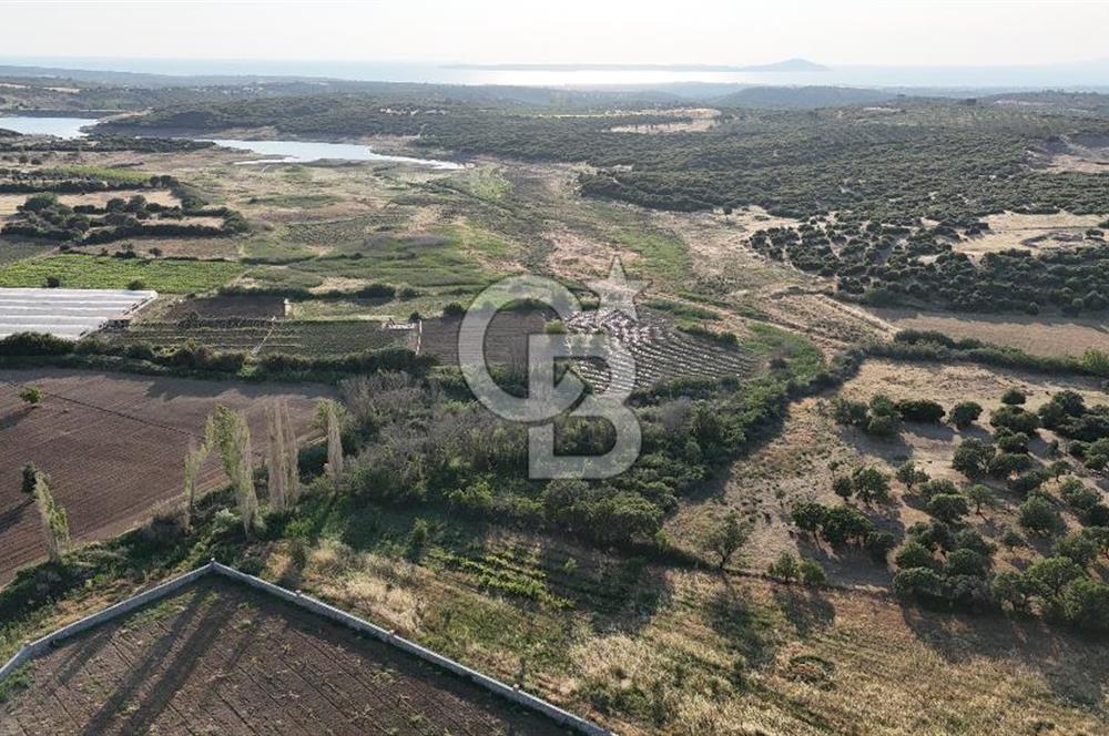 Ezine Kemallı Köyünde Doğayla İç İçe 2.549 M² Satılık Bağ!