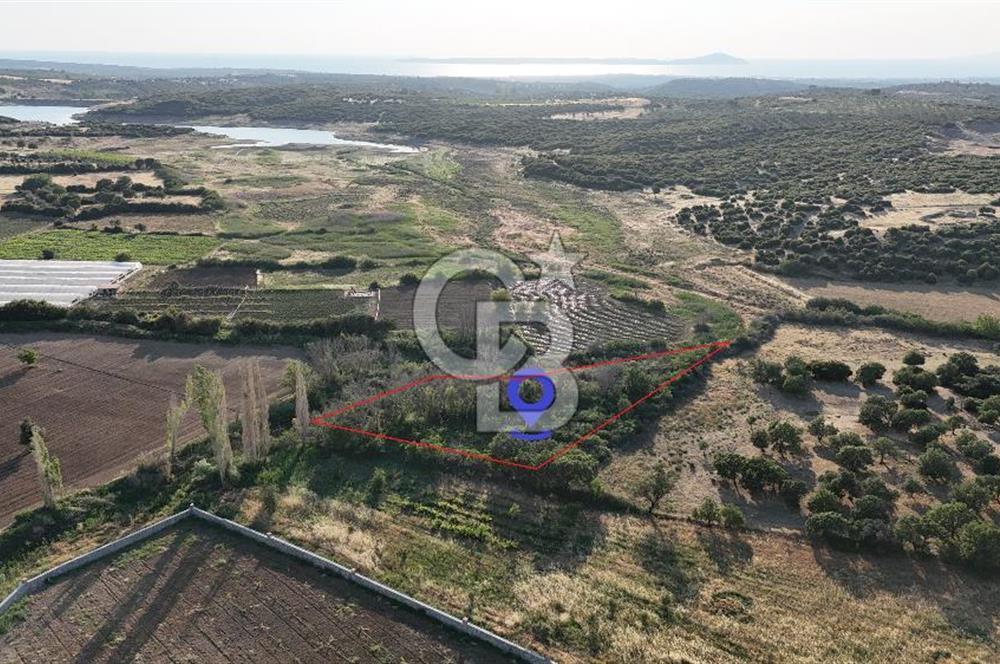 Ezine Kemallı Köyünde Doğayla İç İçe 2.549 M² Satılık Bağ!