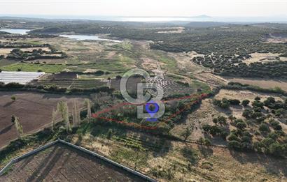 Ezine Kemallı Köyünde Doğayla İç İçe 2.549 M² Satılık Bağ!