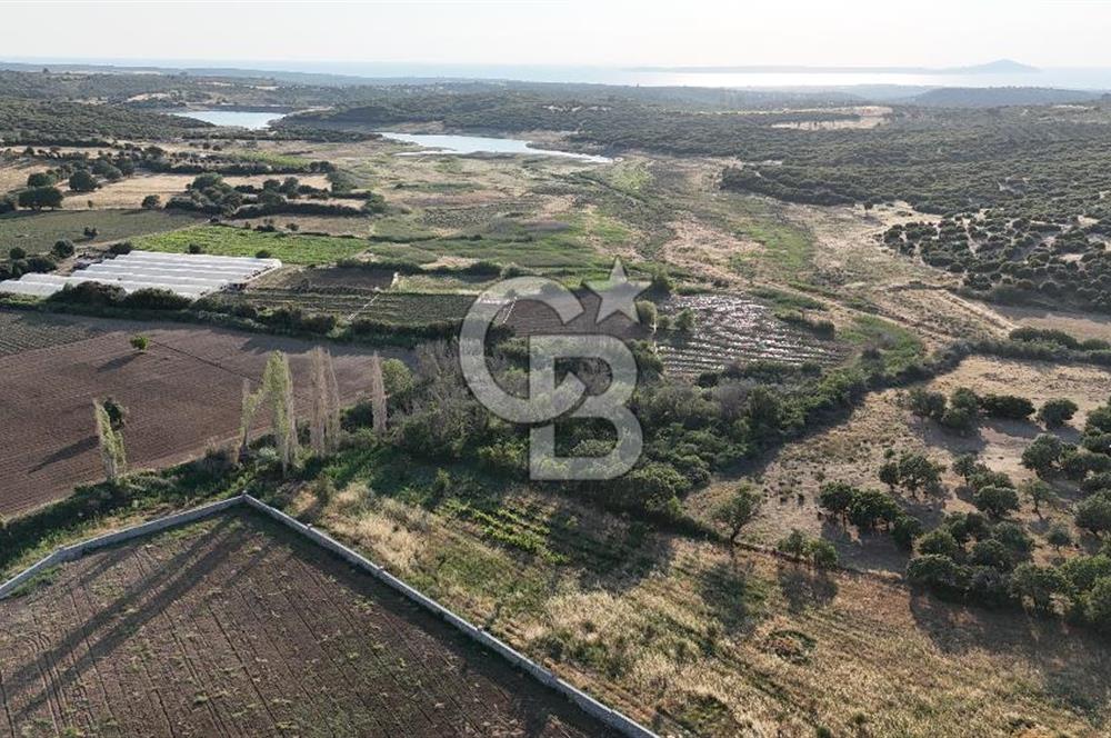Ezine Kemallı Köyünde Doğayla İç İçe 2.549 M² Satılık Bağ!