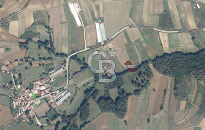 CBAKADEMİ KANDIRA ÖZBEY YOLA YAKIN 1193 m2 SATILIK TARLA