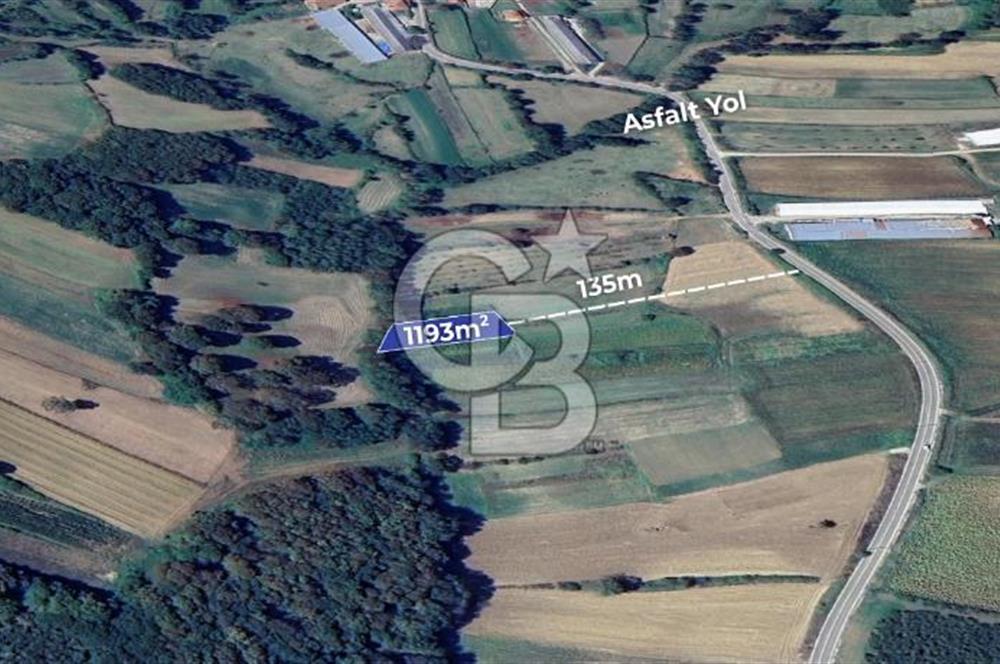 CBAKADEMİ KANDIRA ÖZBEY YOLA YAKIN 1193 m2 SATILIK TARLA