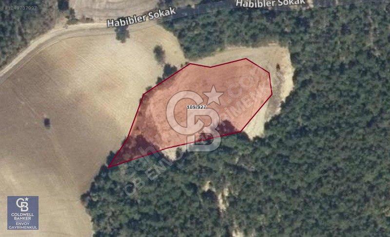 CB ENVOY'dan Taraklı'da Fırsat Yatırım, 3.536m2 Ekili Tarla