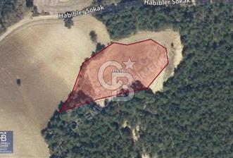 CB ENVOY'dan Taraklı'da Fırsat Yatırım, 3.536m2 Ekili Tarla
