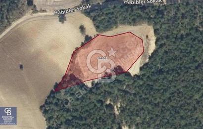 CB ENVOY'dan Taraklı'da Fırsat Yatırım, 3.536m2 Ekili Tarla