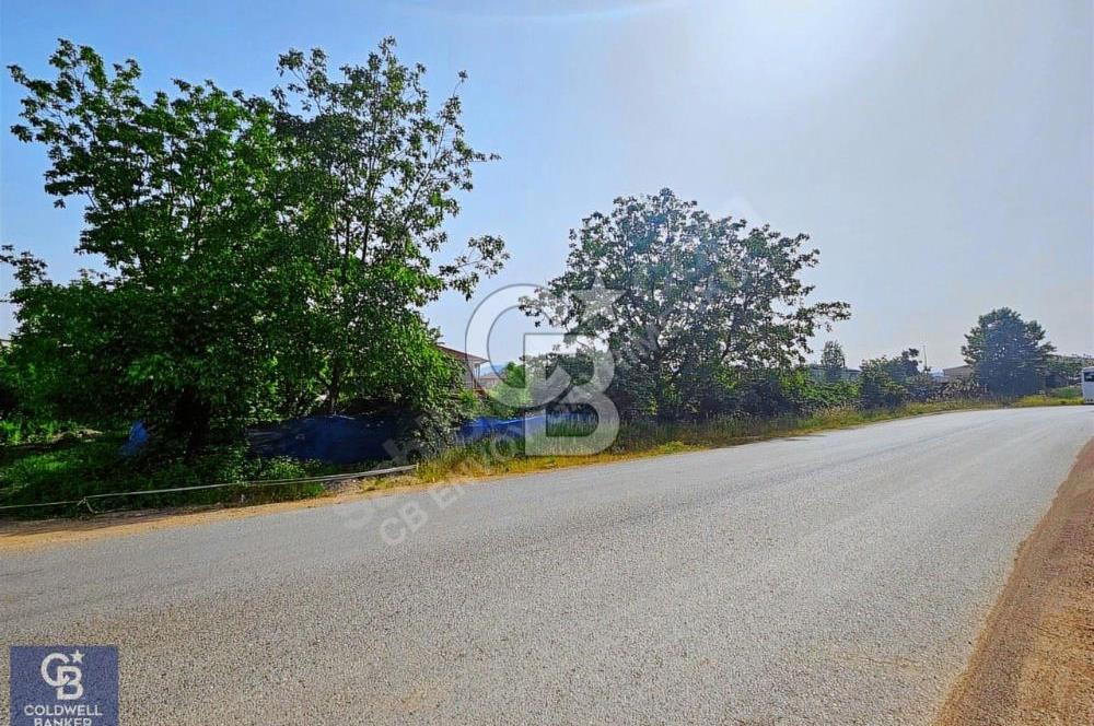 CB ENVOY'dan Gölcük Sanayi Sitesi Yanı 4.004m2 KDKÇA Arsa