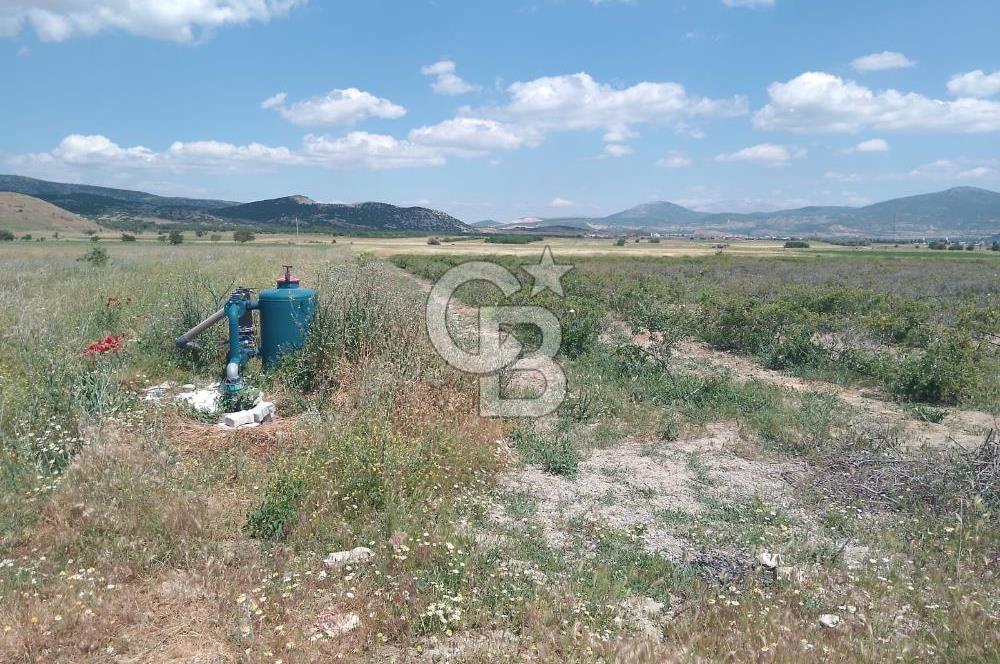 ISPARTA KEÇİBORLU'DA YATIRIMA UYGUN SATILIK ARSA