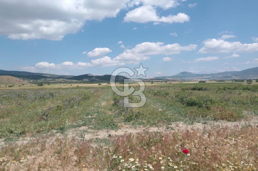 ISPARTA KEÇİBORLU'DA YATIRIMA UYGUN SATILIK ARSA