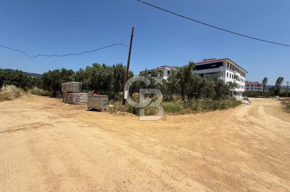 Yalova Armutlu'da Denize Yakın Ultra Lüks 2+1 Daire İskanlı