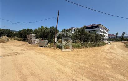 Yalova Armutlu'da Denize Yakın Ultra Lüks 2+1 Daire İskanlı