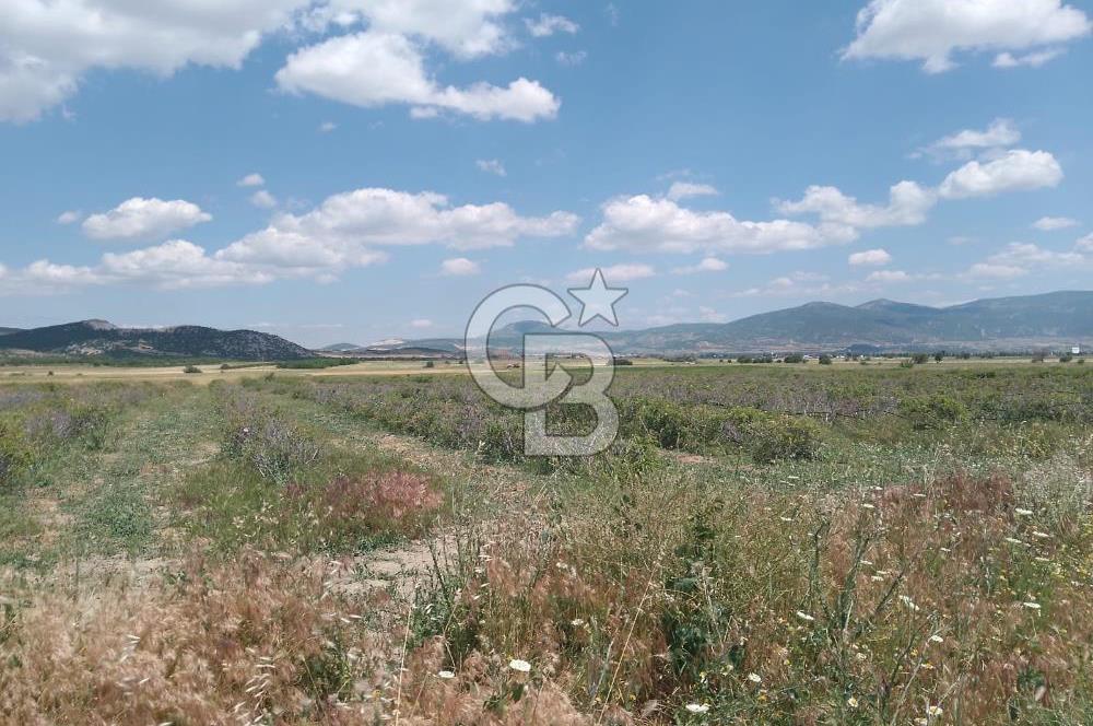 ISPARTA KEÇİBORLU'DA YATIRIMA UYGUN SATILIK ARSA