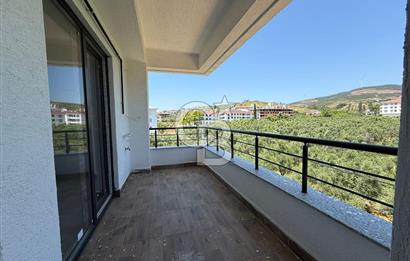 Yalova Armutlu'da Denize Yakın Ultra Lüks 2+1 Daire İskanlı