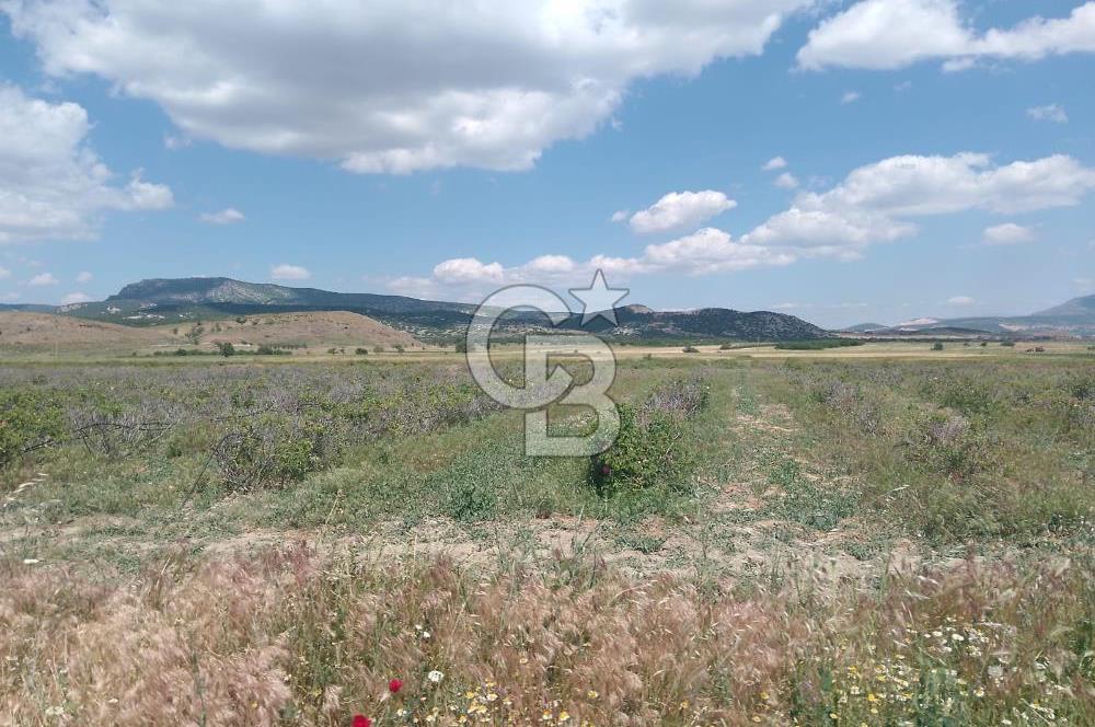 ISPARTA KEÇİBORLU'DA YATIRIMA UYGUN SATILIK ARSA