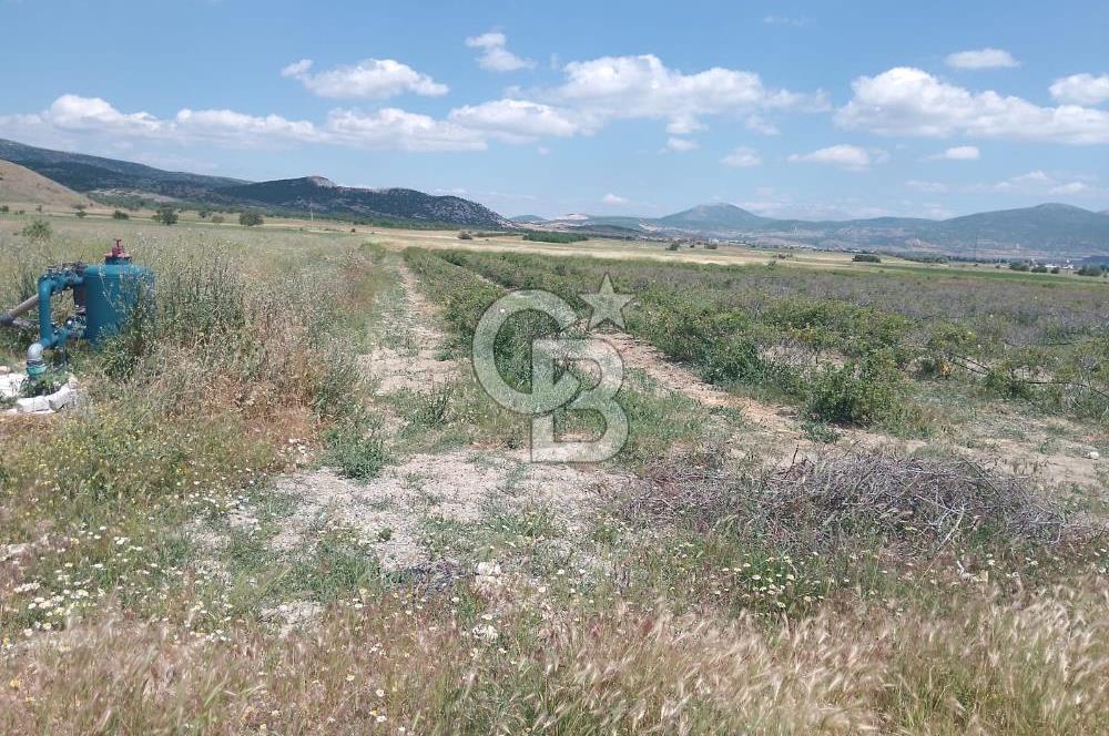 ISPARTA KEÇİBORLU'DA YATIRIMA UYGUN SATILIK ARSA