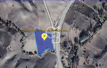 ÇANKIRI ŞABANÖZÜ'NDE 10290 M² MÜSTAKİL TAPULU SATILIK TARLA