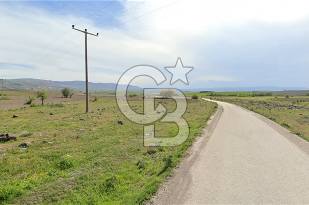 AYAŞ BAYRAM SATILIK 16.103 M2 ARSA… MÜSTAKİL, ELEKTRİK, YOL, SU