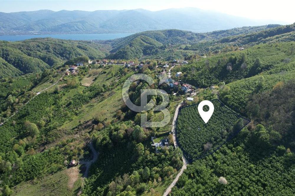 KOCAELİ KARTEPE/ EŞME AHMEDİYE'DE SATILIK 6028 M2 MANZARALI ARSA
