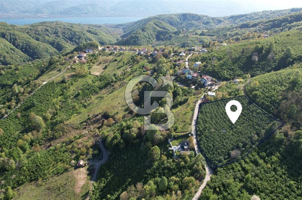 KOCAELİ KARTEPE/ EŞME AHMEDİYE'DE SATILIK 6028 M2 MANZARALI ARSA