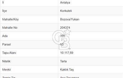 KORKUTELİ BOZOVADA ASFALT YOLA CEPHE 10.117 M2 SATILIK TARLA