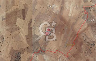 KORKUTELİ BOZOVA MAHALLESİ 4.705 M2 SATILIK TARLA