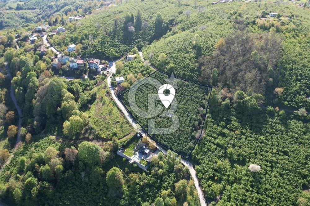 KOCAELİ KARTEPE/ EŞME AHMEDİYE'DE SATILIK 6028 M2 MANZARALI ARSA