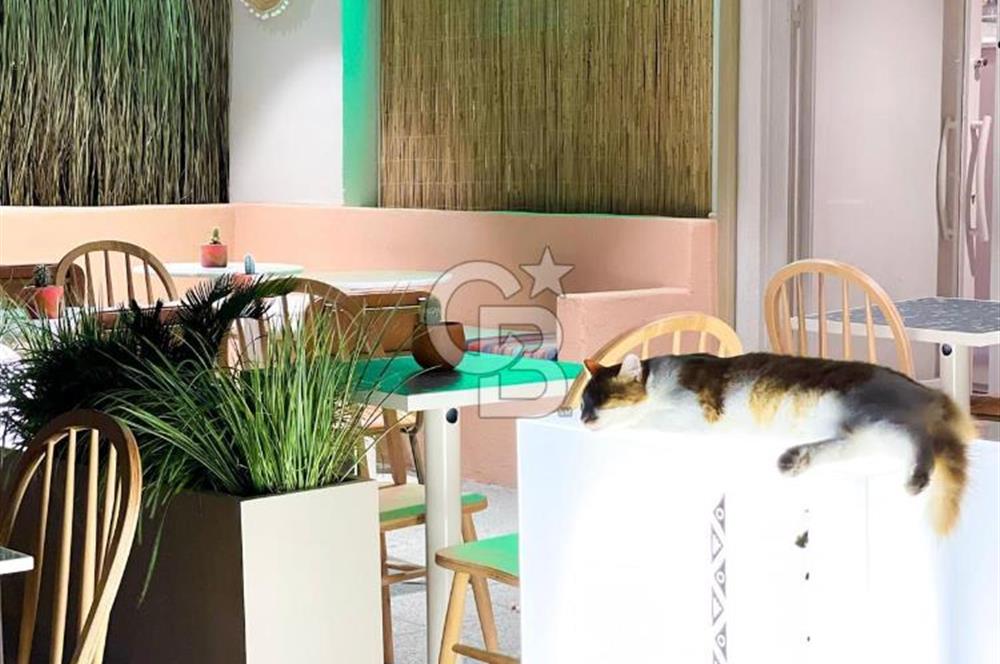 CADDEBOSTAN PLAJ YOLU SOKAK YÜKSEK CİROLU RESTAURANT&CAFE