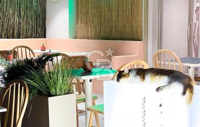 CADDEBOSTAN PLAJ YOLU SOKAK YÜKSEK CİROLU RESTAURANT&CAFE