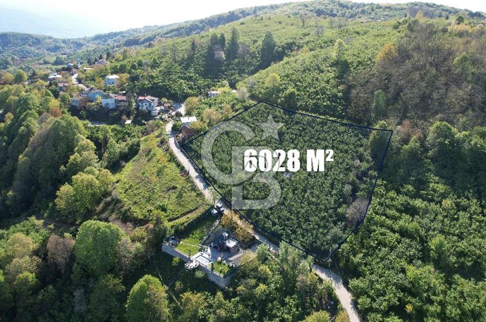 KOCAELİ KARTEPE/ EŞME AHMEDİYE'DE SATILIK 6028 M2 MANZARALI ARSA