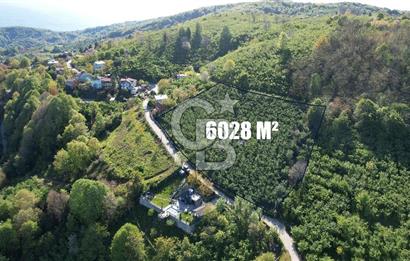 KOCAELİ KARTEPE/ EŞME AHMEDİYE'DE SATILIK 6028 M2 MANZARALI ARSA