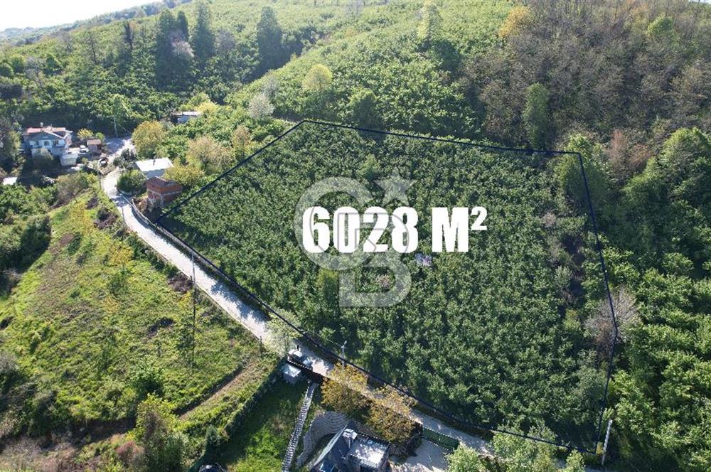 KOCAELİ KARTEPE/ EŞME AHMEDİYE'DE SATILIK 6028 M2 MANZARALI ARSA